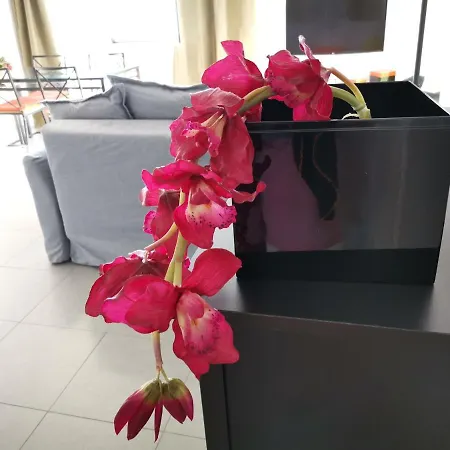 Apartamento Jaquita Beach Διαμέρισμα Ελ Μέντανο